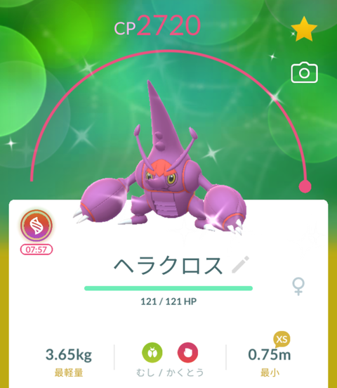 【ポケモンGO】ヘラクロスは本来は「中南米」地域限定！今やらないと次はいつ手に入るか分からない