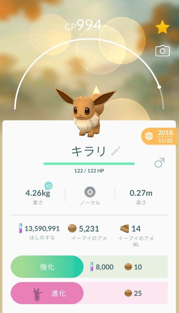 ポケモンgo ニンフィアに 名前進化 させる為のニックネーム 各種ブイズも ポケモンgo ニンフィアに 名前進化 させる為のニックネーム 各種ブイズも