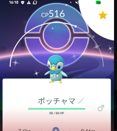 【ポケモンGO】正月明けのイベント「ポッチャマ復刻コミュデイ」反省会