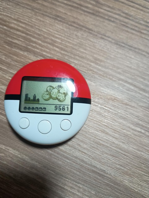 ポケウォーカーつけて走ってきたけど質問ある？