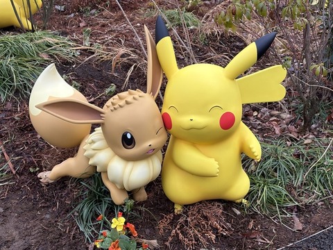 ポケパークカントー最高すぎる