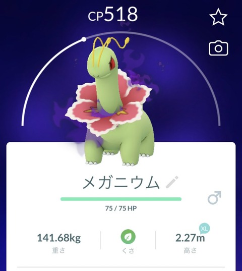 ポケモンgo シャドウメガニウム がガチ案件だと話題に 気ままに ポケモンの巣窟