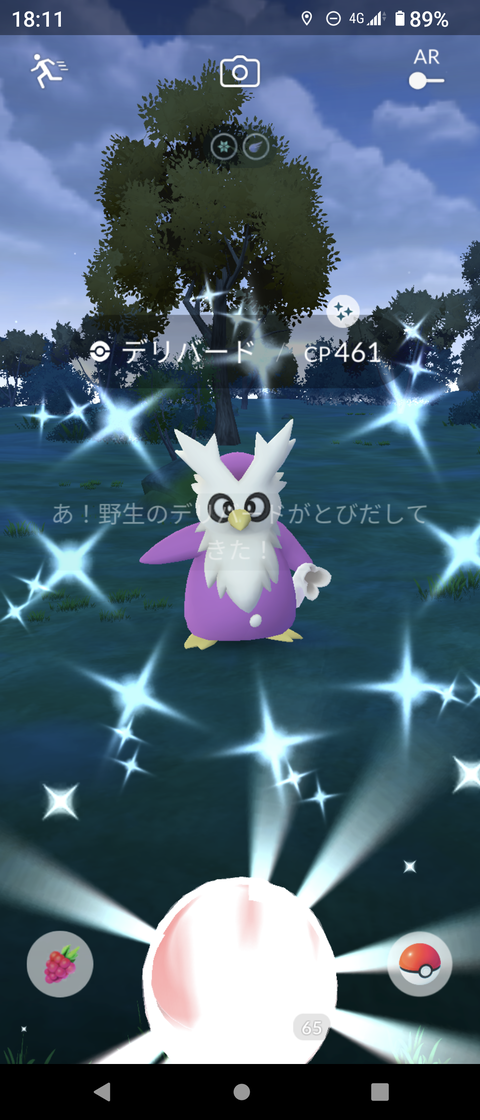 【ポケモンGO】砂祭り、スポアワデリバード反省会！