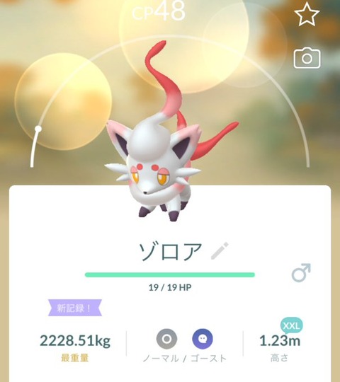 【ポケモンGO】ゾロア、相変わらず体重バグってる