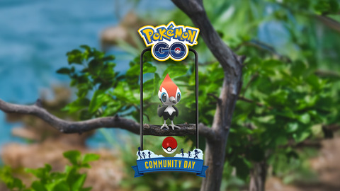 【ポケモンGO】明日は「ツツケラコミュニティ・デイ」【11月30日14:00から17:00】