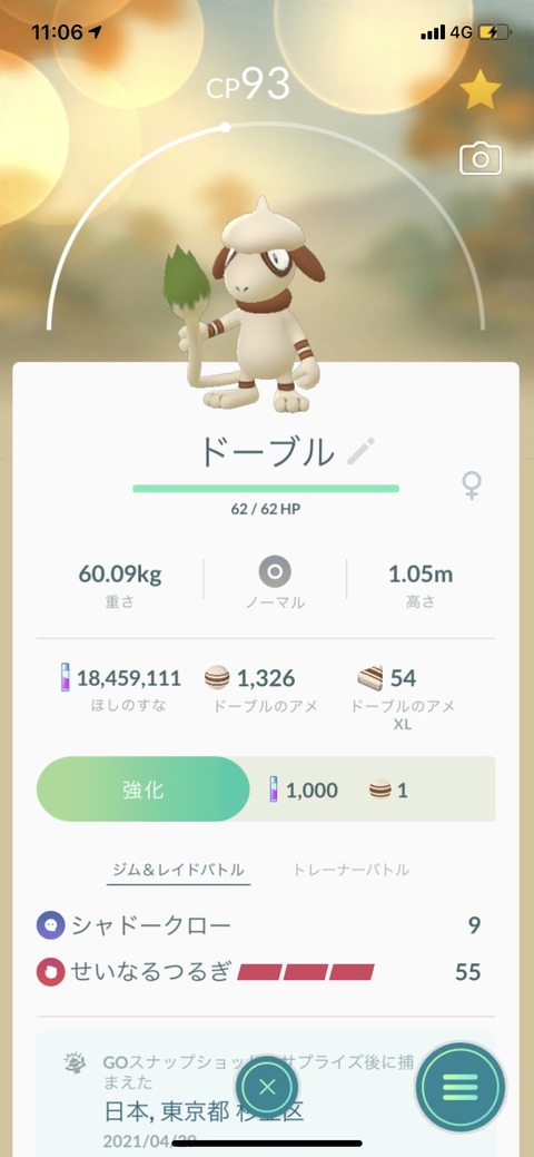 pokego_1619615353_4103