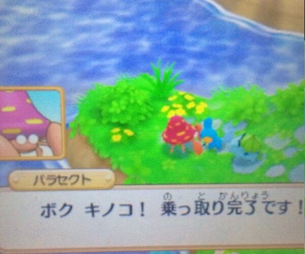 悲報 一番可哀想なポケモン 悲報 一番可哀想なポケモン