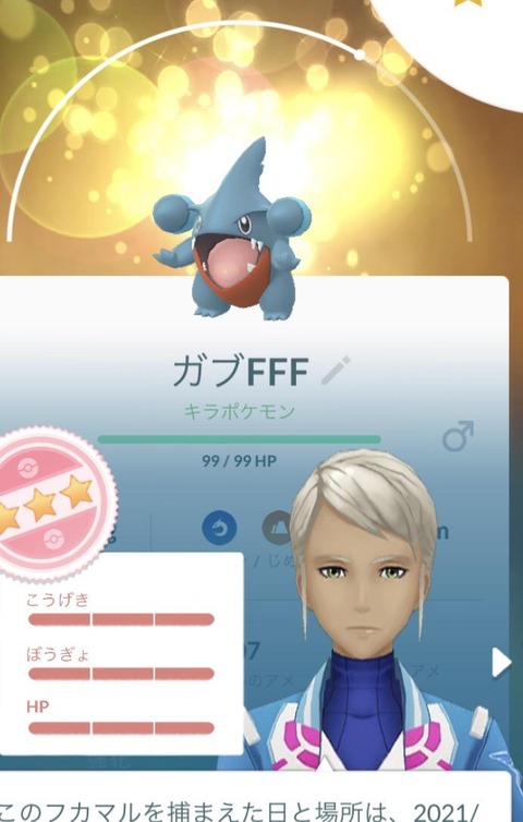 pokego_1610869248_12401