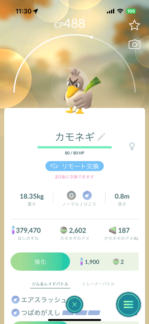 【ポケモンGO】もしかしてカモネギって交換のタネになる？
