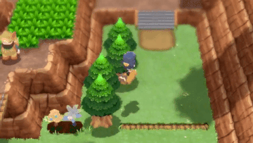 ポケモンbdsp なみのりバグ でどこまでも ビーダルに乗って本来入れない所も強行突破