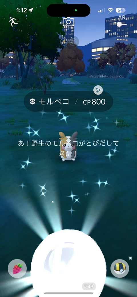 【ポケモンGO】色違いモルペコ、もうゲットした？