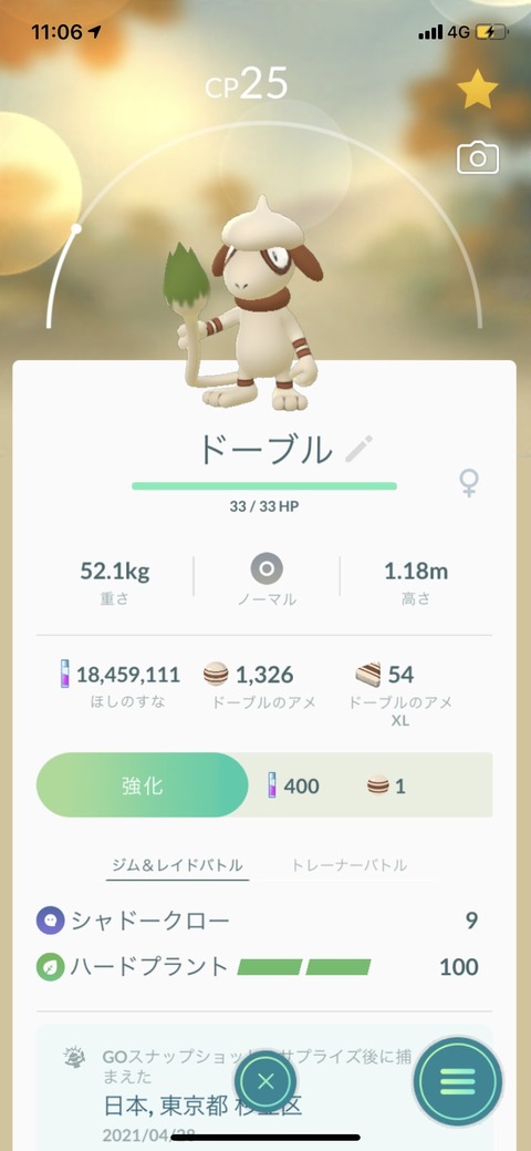 pokego_1619615353_4102