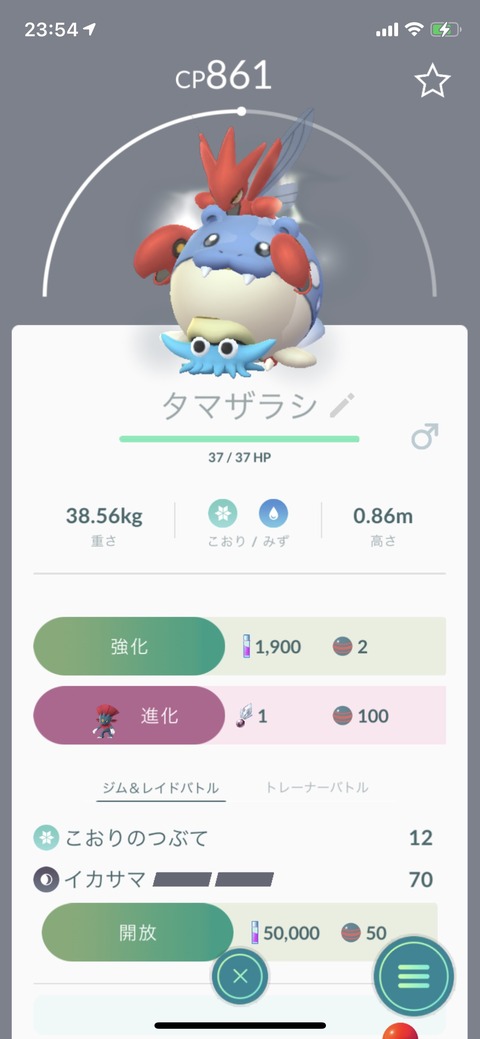 pokego_1612072937_15801