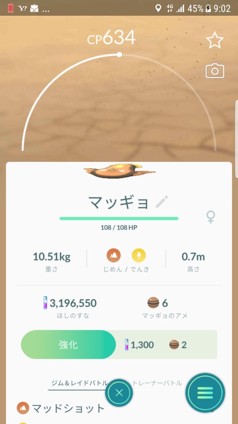 pokego_1585572585_90501