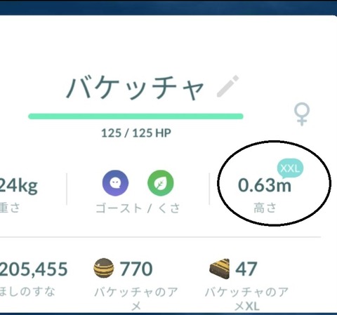 ポケモンgo バケッチャのサイズの確認 サイズ別検索キーワード 気ままに ポケモンの巣窟