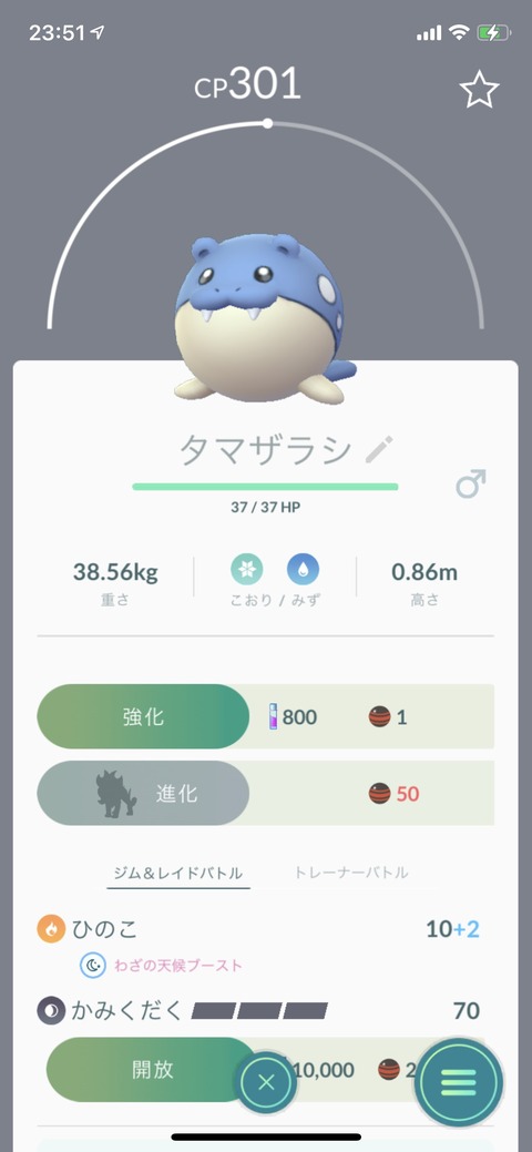pokego_1612072937_15601