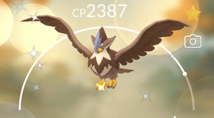 ポケモンgo 対戦用 ムクホーク Scpランキング上位30 ポケモンgo 対戦用 ムクホーク Scpランキング上位30