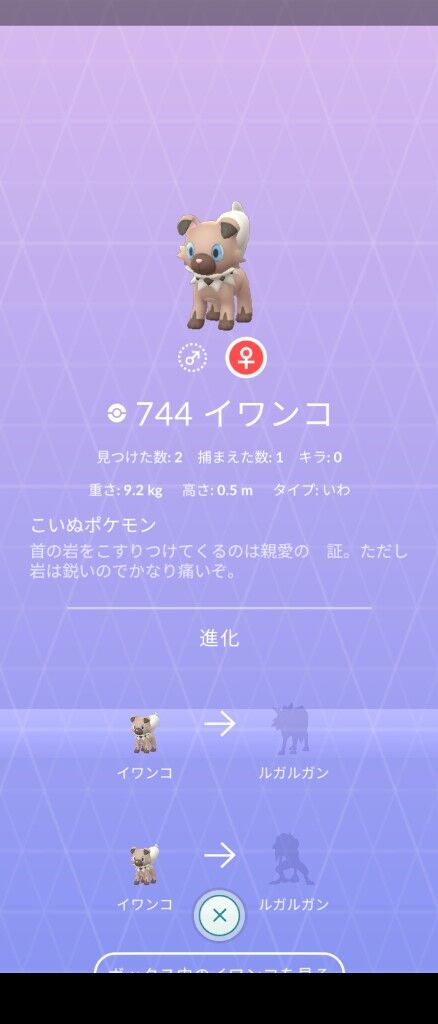 ポケモンgo イワンコレイドが超人気 進化先が3つあるから色違いは最低3匹は確保 ポケモンgo イワンコレイドが超人気 進化先が3つあるから色違いは最低3匹は確保