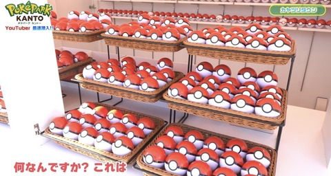 ポケパークカントーモンスターボール　1個1200円、初代ポケモン151匹からランダムでピンバッチ1個封入