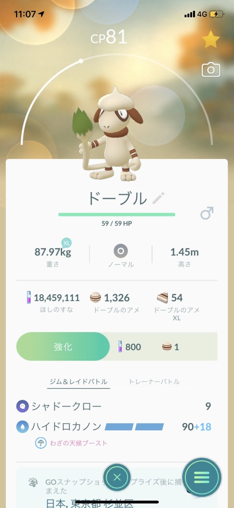 pokego_1619615353_4101