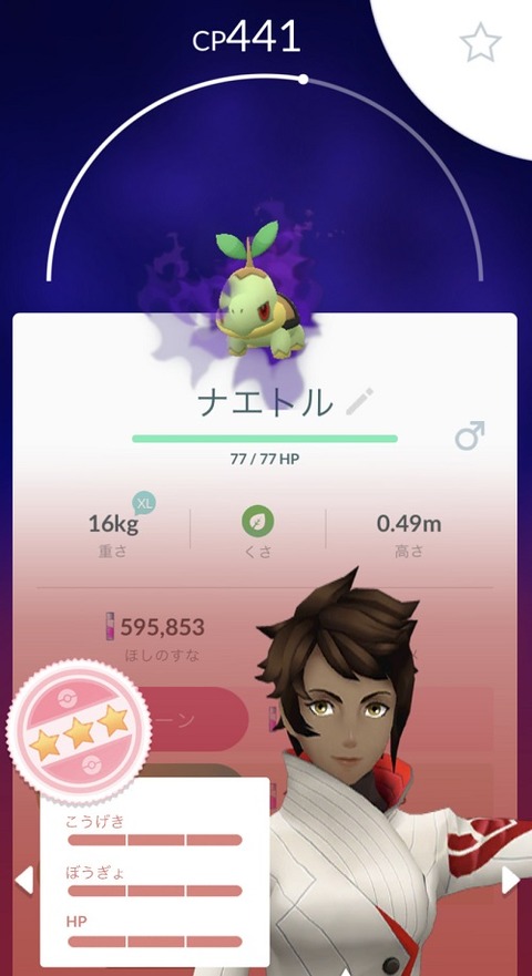 pokego_1598102345_13801