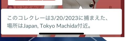 【ポケモンGO】捕まえた場所を「国内なのに英語表記」にする方法