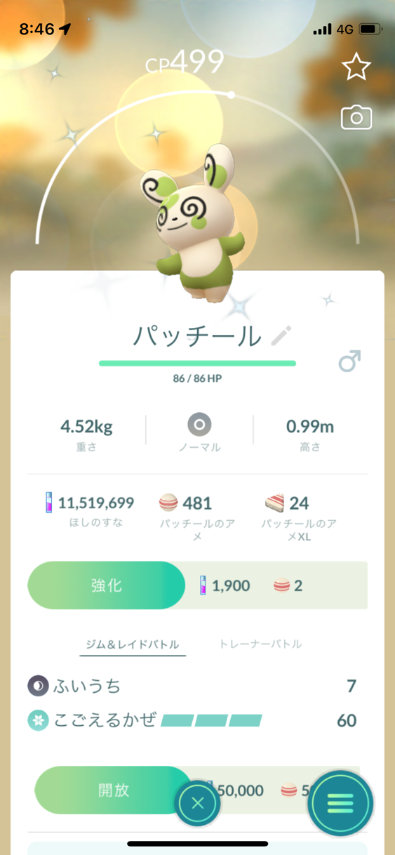 ポケモンgo 狙えハート型 パッチールガチ勢 という謎の集団 ポケモンgo 狙えハート型 パッチールガチ勢 という謎の集団