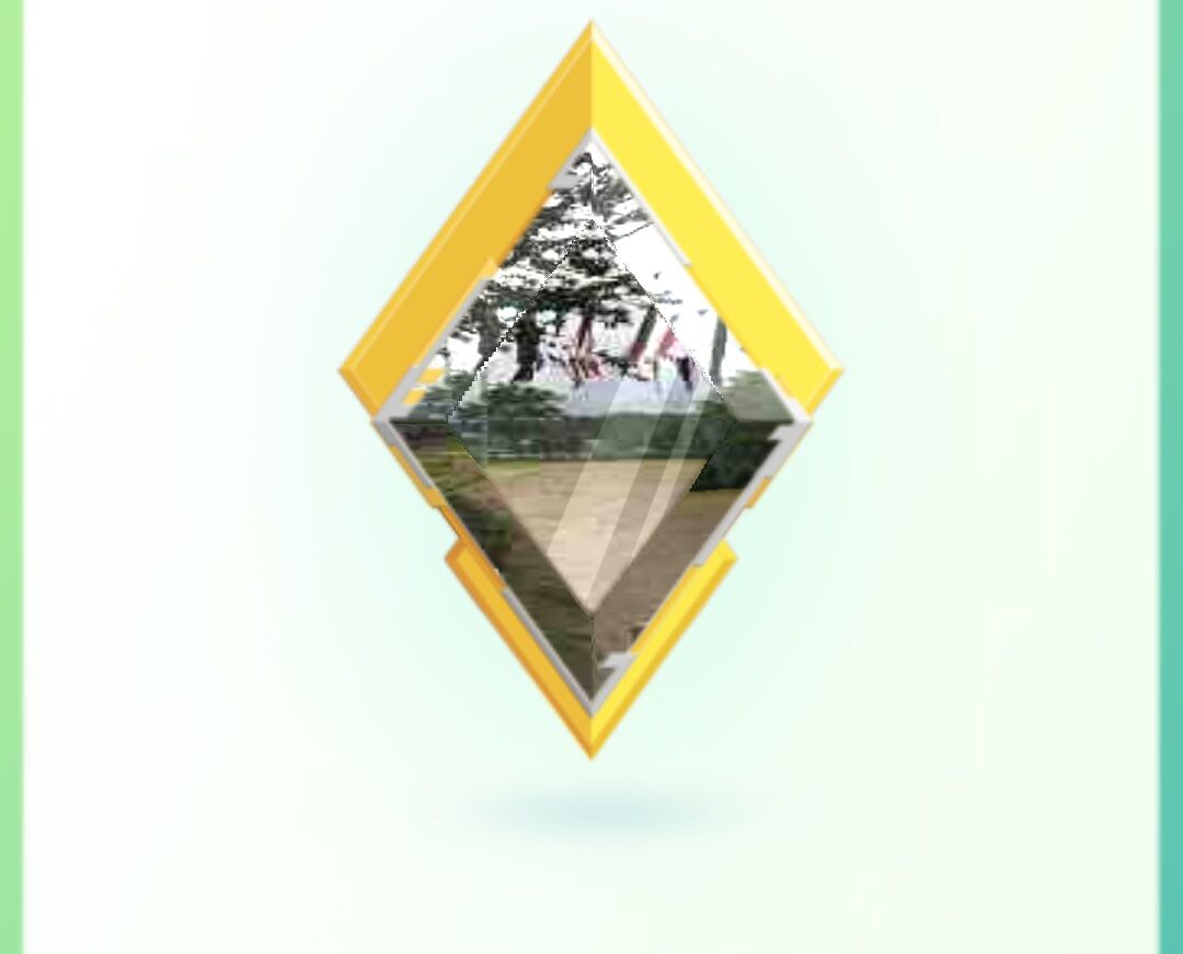 ポケモンgo 金ジムガチ勢 って居る 今更聞けない金ジムのメリット