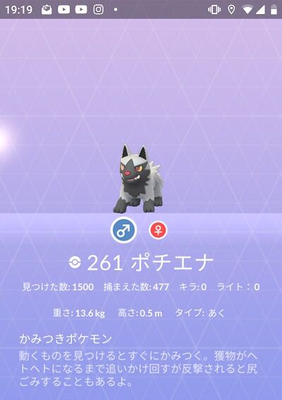 pokego_1589728117_67302