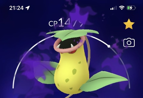 ポケモンgo ここに来て シャドウウツボット が何故か大増殖 誰が流行らせた