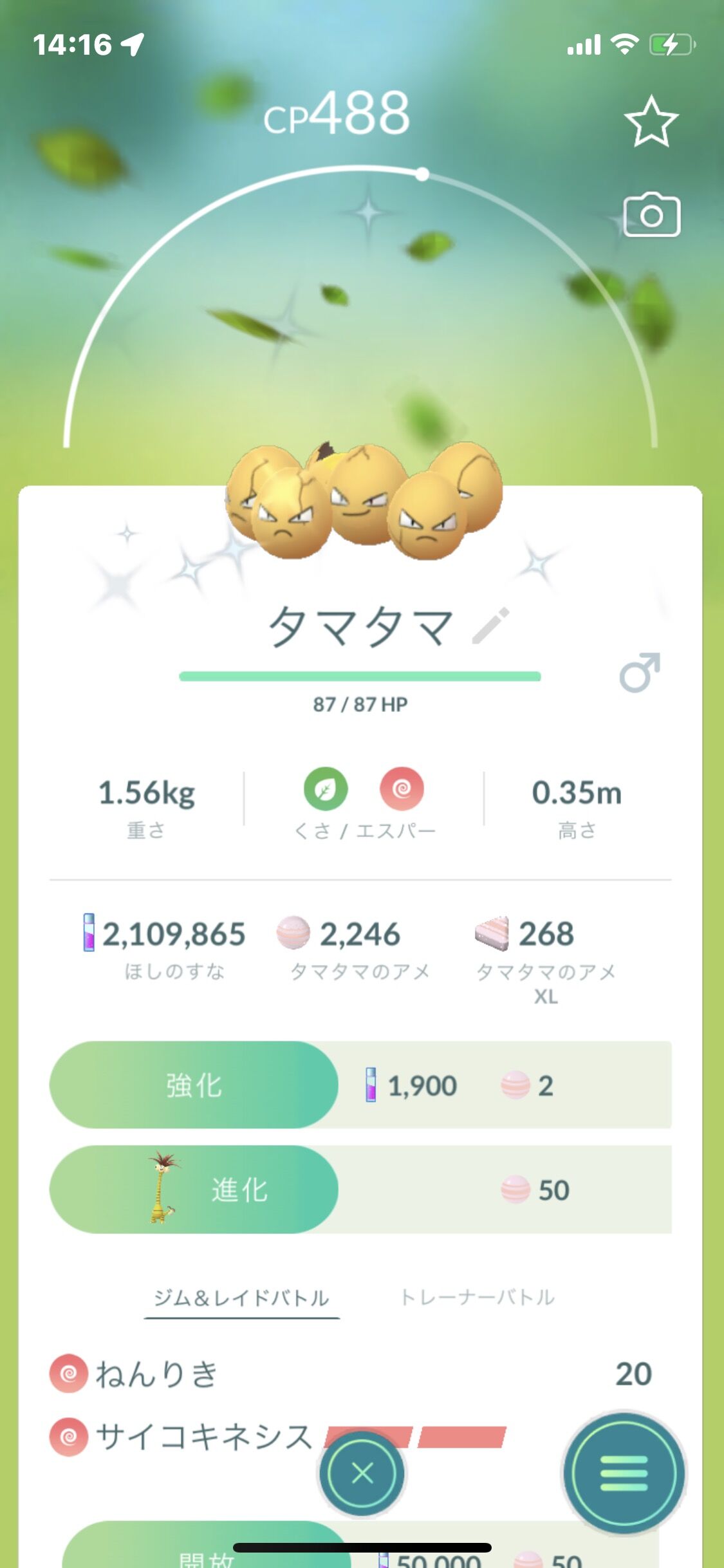 ポケモンgo 補填タマタマデイ 反省会 金oマ エナジータスク集めてたら全部タマタマに