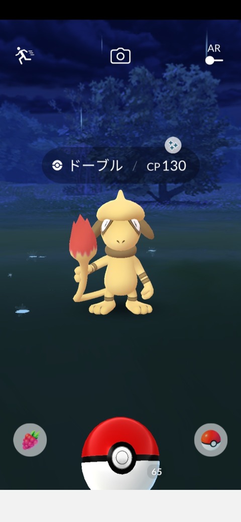 pokego_1619661903_16901