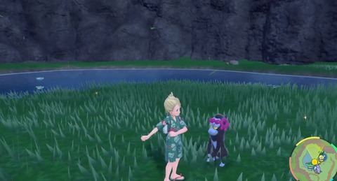 【ポケモンSV】仮にも準伝なのに「ともっこ(三馬鹿)」が捕獲前に待機してる場所雑過ぎない！？