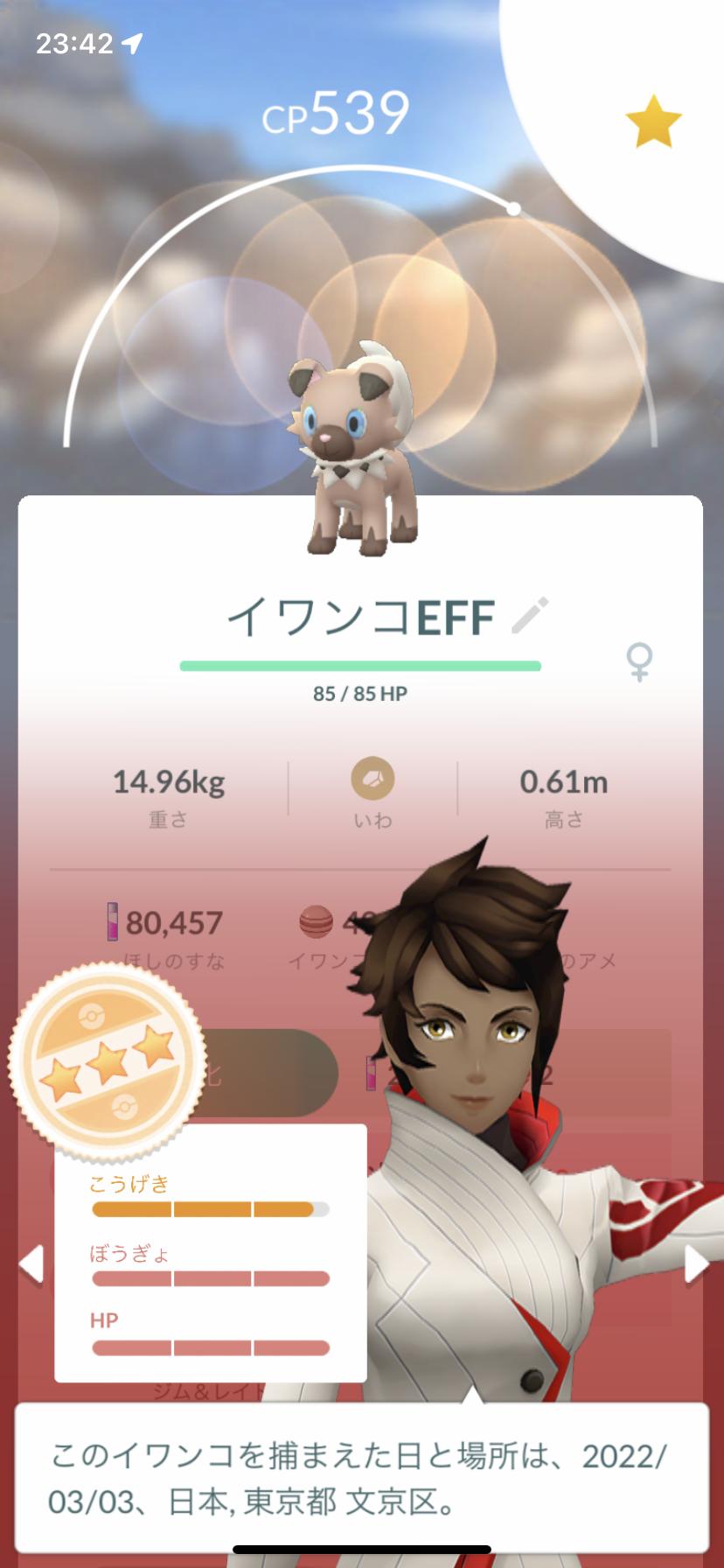 ポケモンgo イワンコレイドが超人気 進化先が3つあるから色違いは最低3匹は確保