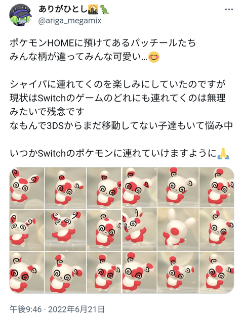 【悲報】ポケモンHOMEに預けていたパッチール、全部同じ柄になって絶望するありがひとし