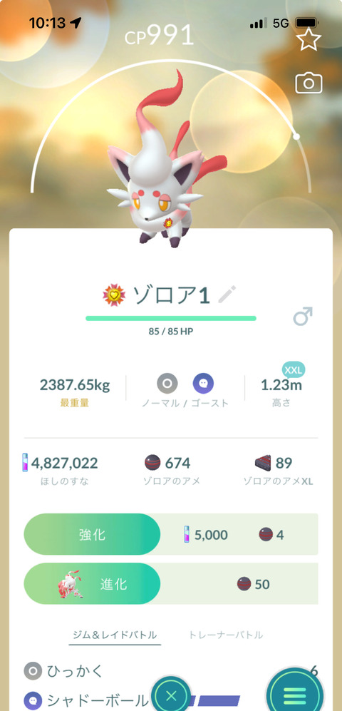 【ポケモンGO】ゴーストおひろめ「バグったヒスイゾロア」がいつもの無双