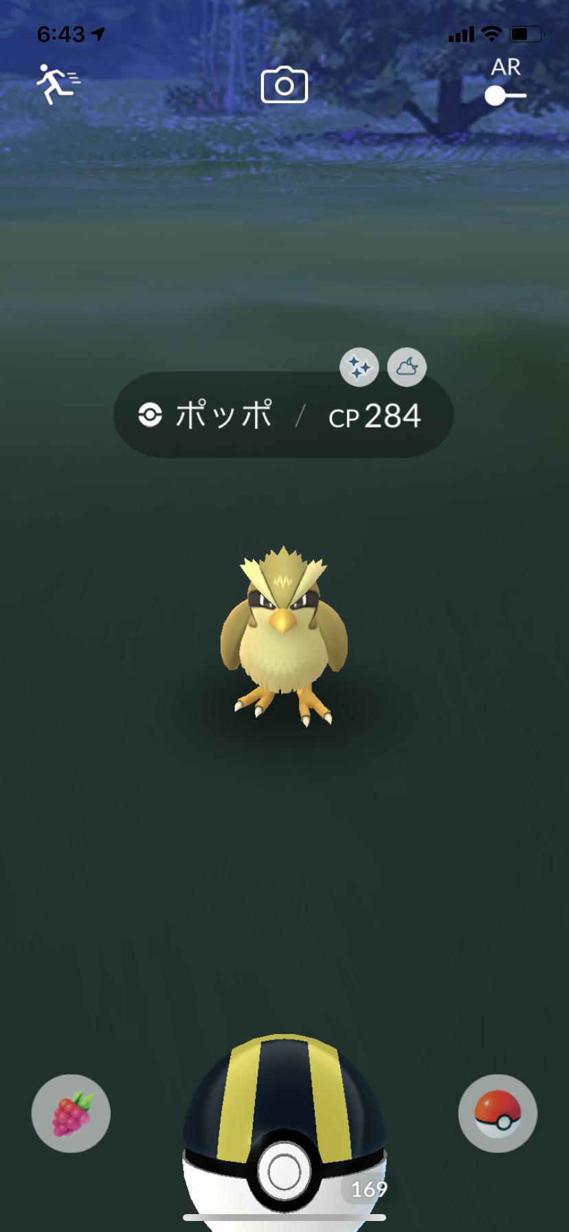 ポケモンgo スポアワ色違いは都市伝説じゃ無かった バネブーアワー反省会 ポケモンgo スポアワ色違いは都市伝説じゃ無かった バネブーアワー反省会