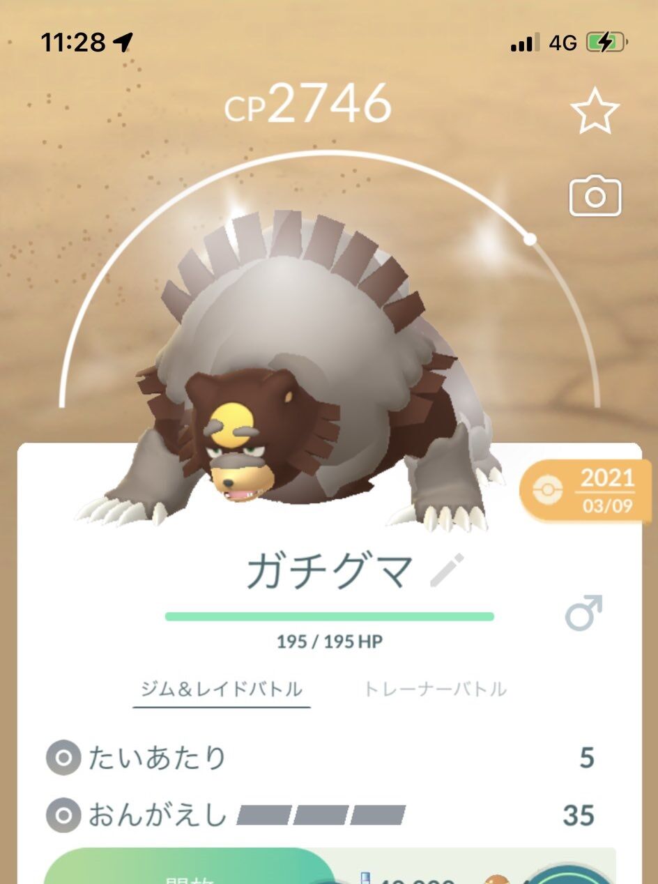 ポケモンgo おんがえしガチグマ の為に22時超えてから進化させたら 信じられないバグが