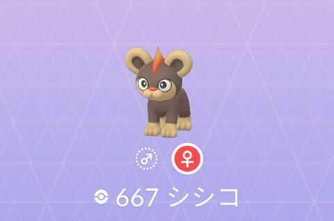 ポケモンgo 進化させるの待った シシコ はリトルカップでモンメン ガラマキラー