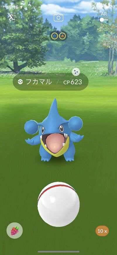 pokego_1596738985_39201