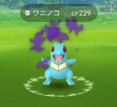 ポケモンgo Sワンリキー Sミズゴロウ求めて 出るのはワニとマクノシタばかり
