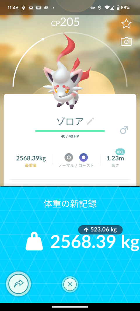 【ポケモンGO】ヒスイゾロア出現中