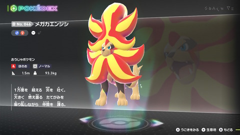 メガカエンジシ、許されない