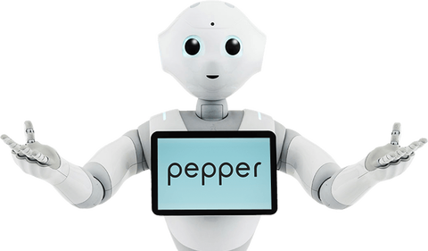 20150226_pepper