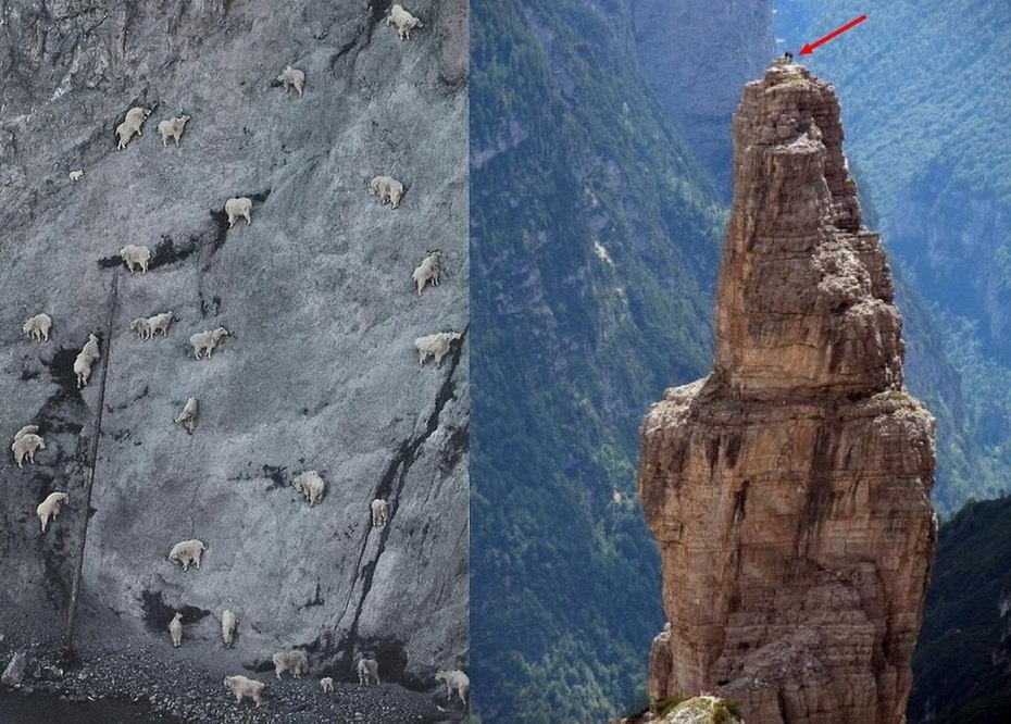 世界一死者を出してる山wwwwwwwwwwwww おもしろvipちゃんねる 世界一死者を出してる山wwwwwwwwwwwww おもしろvipちゃんねる
