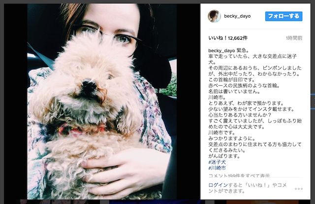 芸能 ベッキー 迷子犬を保護 ファンが情報拡散 無事飼い主の元へ 9 芸能にゅーす爆速