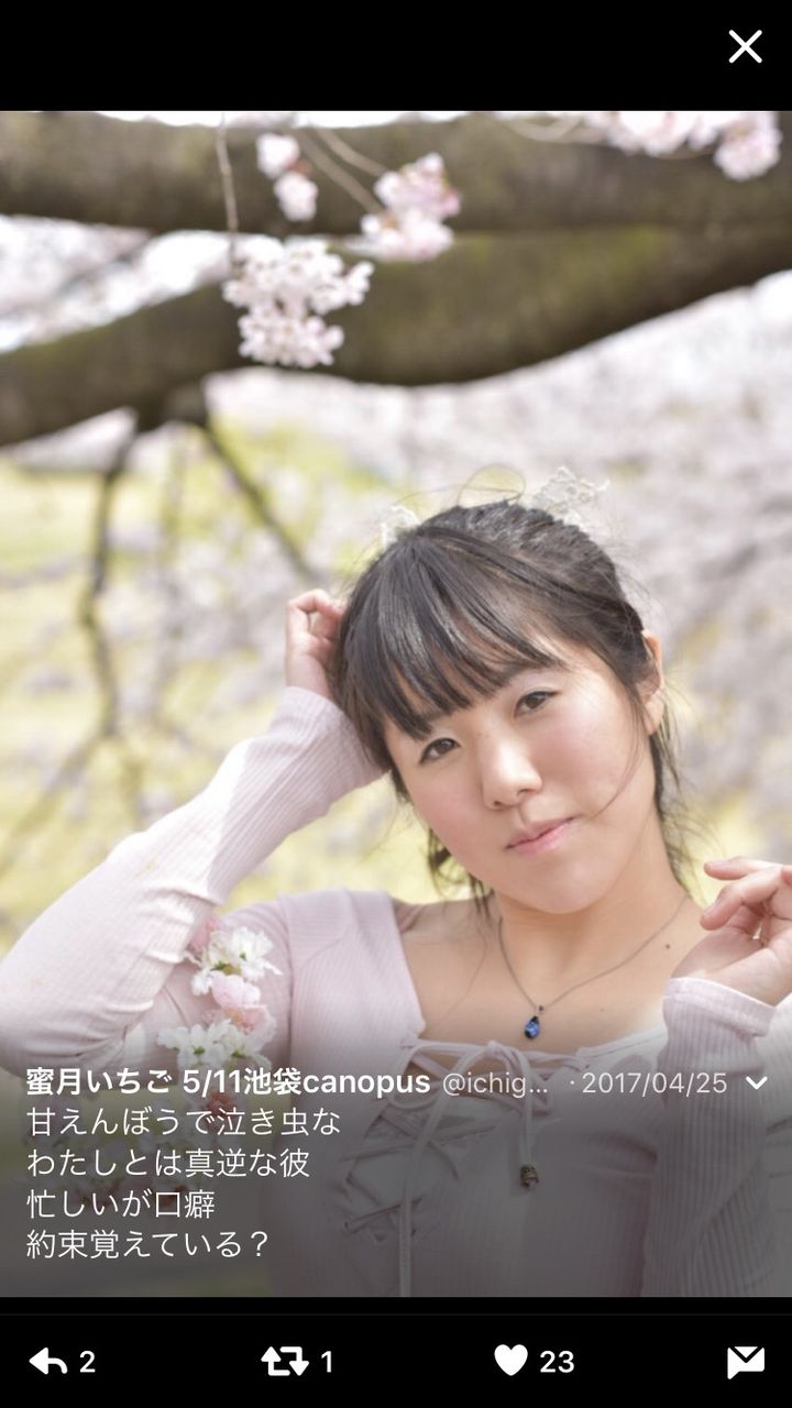 画像 もうこのレベルのブサカワ女でいいから結婚したい まとめ部 5ch