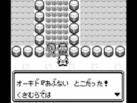 ポケモンのサトシ 旅に出るまではマサラタウンから出た事が無かった ゲーム情報通 ポケモンのサトシ 旅に出るまではマサラタウンから出た事が無かった ゲーム情報通