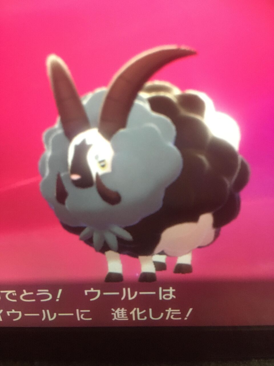 ポケモン剣盾 色違いウールー出たんやがwwwwwww ゲーム情報通 ポケモン剣盾 色違いウールー出たんやがwwwwwww ゲーム情報通