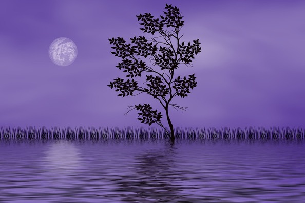 nature-4319662_960_720